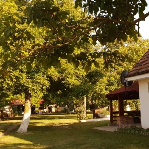 Salas-Lasta-Sremska-Mitrovica-2