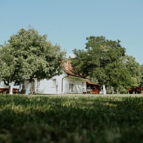 SantaSalasSremskaMitrovica (2)